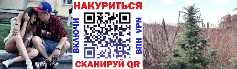 Конопля план Иноземцево